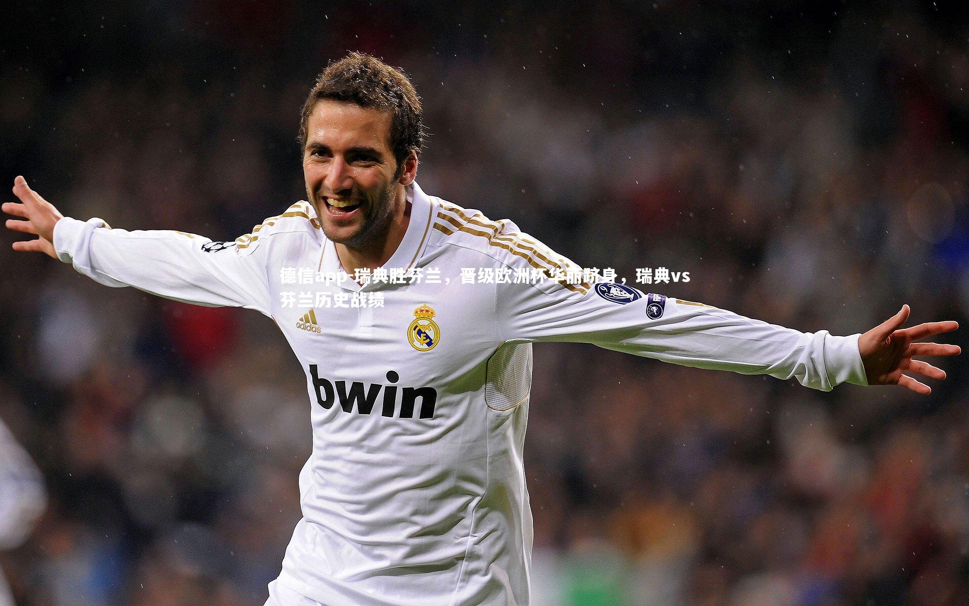 瑞典胜芬兰，晋级欧洲杯华丽跻身，瑞典vs芬兰历史战绩