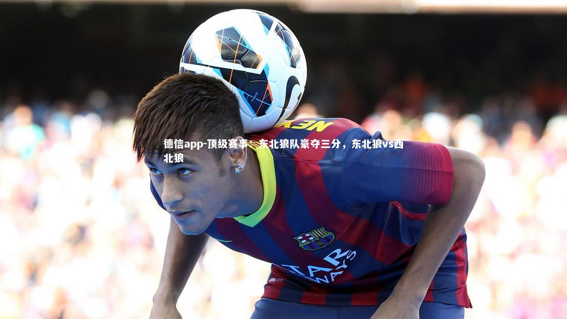 德信app-顶级赛事：东北狼队豪夺三分，东北狼vs西北狼